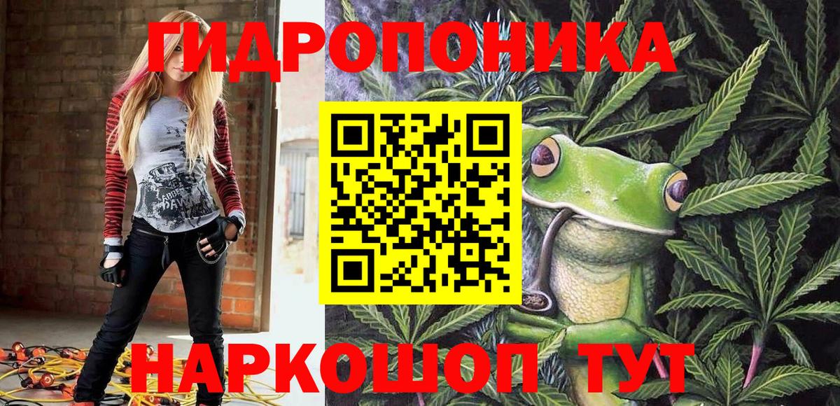 Бошки Шишки ГИДРОПОН  Канабис марихуана  Коркино  Вход с VPN  Бошки Шишки VHQ 